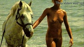 Vintage taboo exploration