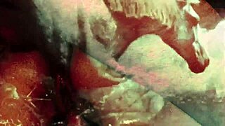 Vintage taboo exploration