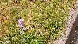 Stepmom's Big Ass Sucked Me Off in Carwash