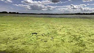 A Day In The Life Of My Barefoot Feet Fetish