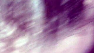 Amazing amateur blowjob in san antonio motel