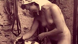 Dark Lantern Entertainment Unveils a Stunning Retro Tale of Beauty and the Beast