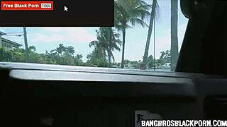 sexy black babe fucked hard on the bus