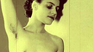 dark lantern entertainment brings vintage petmania vibes 🐾