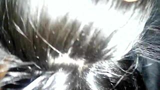 sexy latina ebony slut deepthroats big black cock for kcpoundchamp