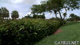 Homo bear sex with intense action 😍