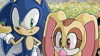 sonic game banned for babysitting cream