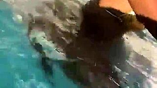 Ebony model poses in trimmed outfit during screen recording session.