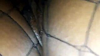 Bae takes a big cock deep in her pussy like a pro babe.