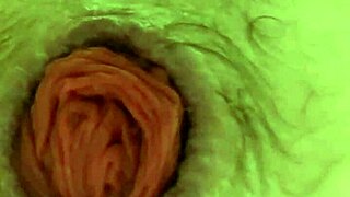 compilation of ruined holes from anal shemale action