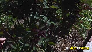 my girlfriend loves giving blowjobs in public places