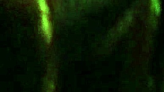 lesha's deepthroat session