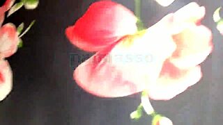 Una inocente chica pillada en la calle se deja follar por dinero