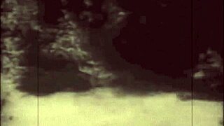 Vintage Babes With Pets: Hairy Contrasts And Natural Tits