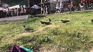 wanna join us for wild outdoor fun with sexy girls?