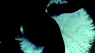 my secret life in victorian boudoir