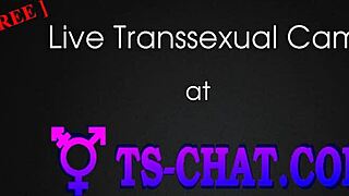 Feeling Intense Pleasure From Brunette Tranny's Pov Blowjob