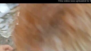 Wild Orgy With Twinks In Bahia Interior