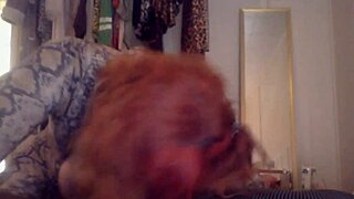 The transsexual woman couldn't resist the big black cock, going crazy as she sucked and rode it passionately.