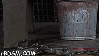 brunette babe enjoys intense play