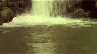 dark lantern entertainment presents beauty and the beast