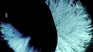 Wow, check out these vintage lesbians in my secret life collection!