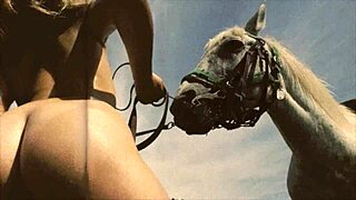 Dark Lantern Entertainment unveils Beauty and Beast magic 🐾