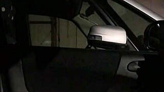 Have you seen this japanese girl flashing her pussy in the car?