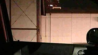 Have you seen this japanese girl flashing her pussy in the car?