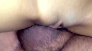 Amateur Couple Compilation One