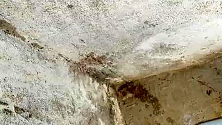 Feeling The Hard Indian Cock Throb With Intense Desire In Desiland