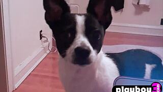 blonde babe undresses naked revealing big tits ass shaved pussy striptease