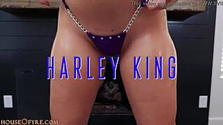 big oiled butts harley king and will pounder new scene