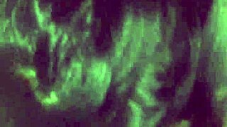 can you handle the blowjob from my spanish milf? it's so intense