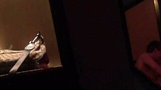 Argentinian Video File Download