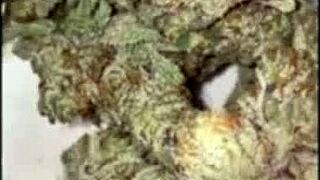 leaked footage of latina wife with bbc