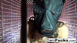 sexy dani daniels trapped in dog cage