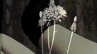 What vintage group scenes are in this antique collection?