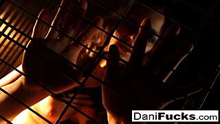 sexy dani daniels trapped in dog cage