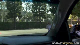 娇小Aria Banks被巨大黑鸡巴压倒