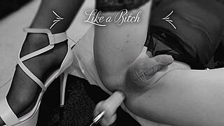 Sissy Slut Gets Fucked By Machine In Doggystyle 😈