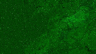 I peed in my jeans and got a golden shower on my face and mouth from that teen