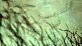 Casada Recibiendo Lo Que Le Gusta En Posiciones Intensas