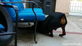 Look At Sexy Samantha Saint!