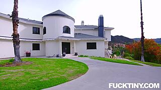 i'm the tiny babe allie addison getting my job back