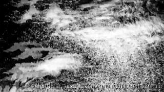 Victorian gentleman's erotic confessions revealed.