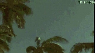 Ever seen a vintage dragonfly on the beach like this?