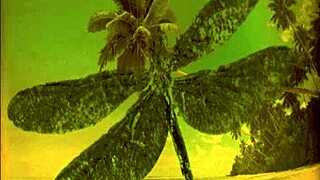 Ever seen a vintage dragonfly on the beach like this?