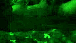 Eating Her Sweet Pussy So Good She Tries to Squirm Away