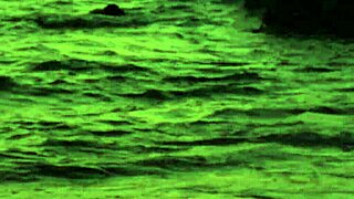 Vixen Stunning Sia Craves Intense Outdoor Encounter While Stranded